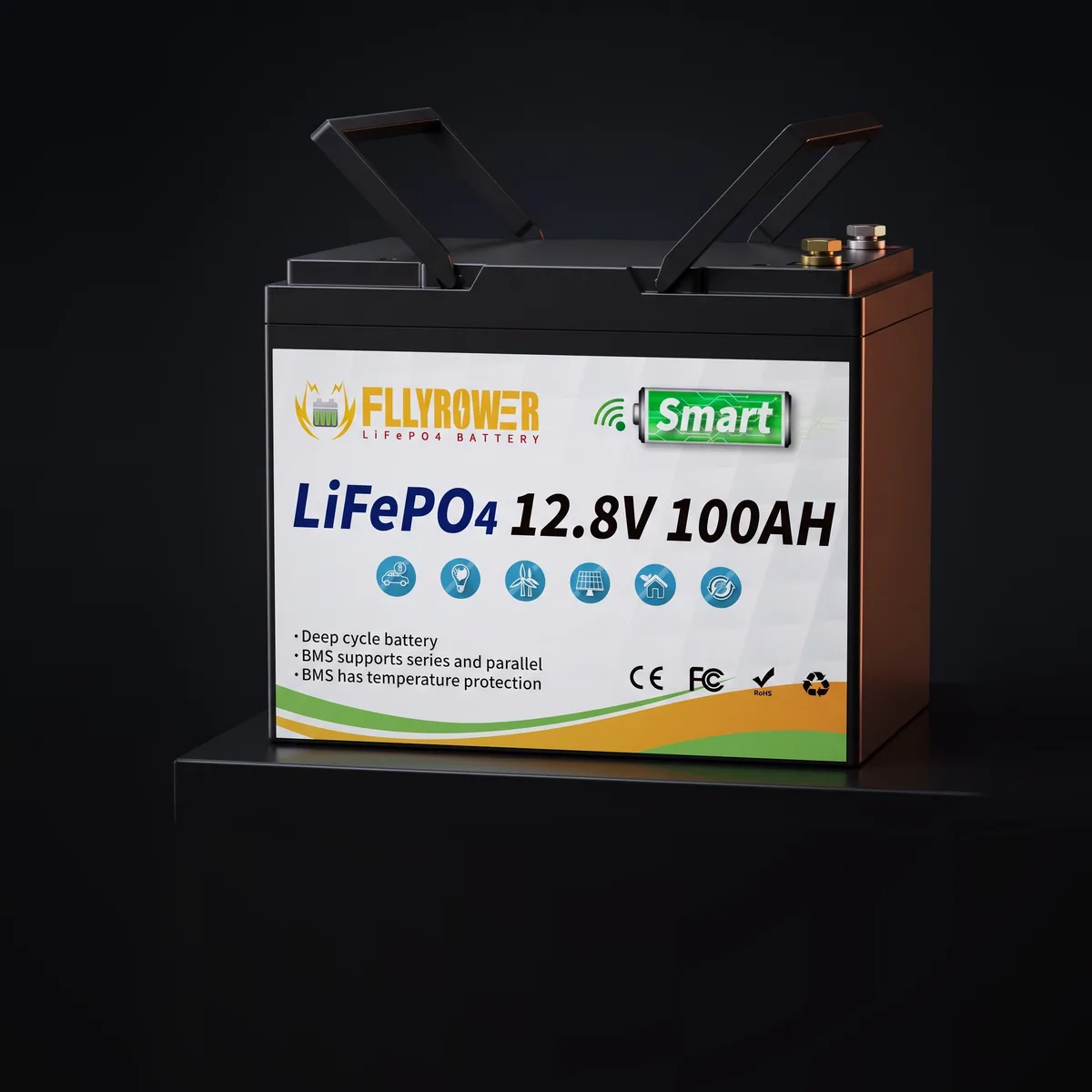 Акумулятор FLLYROWER LiFePO4 12V/100AH (1280W*h) mini 100Ah купити в Україні