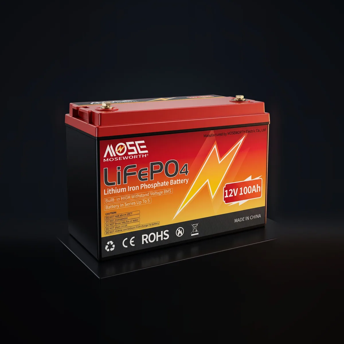 Акумулятор MOSEWORTH LiFePO4 12V/100 (1280Wh) 100Ah купити в Україні