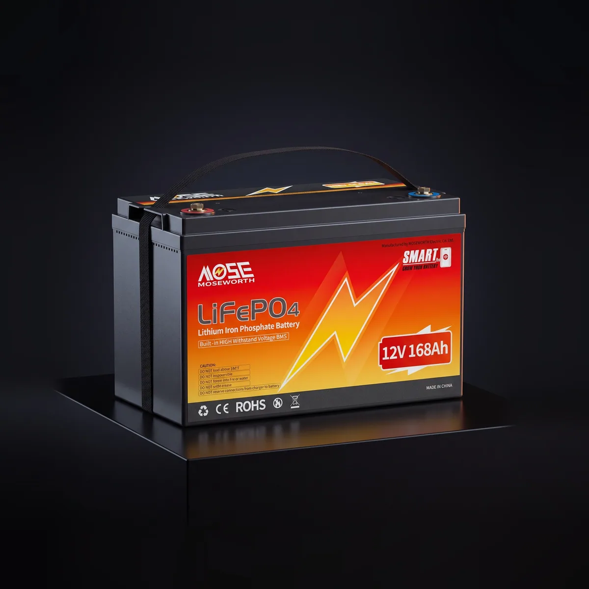 Акумулятор Moseworth LiFePO4 12V/168AH (2160W*h) Bluetooth 168Ah купити в Україні