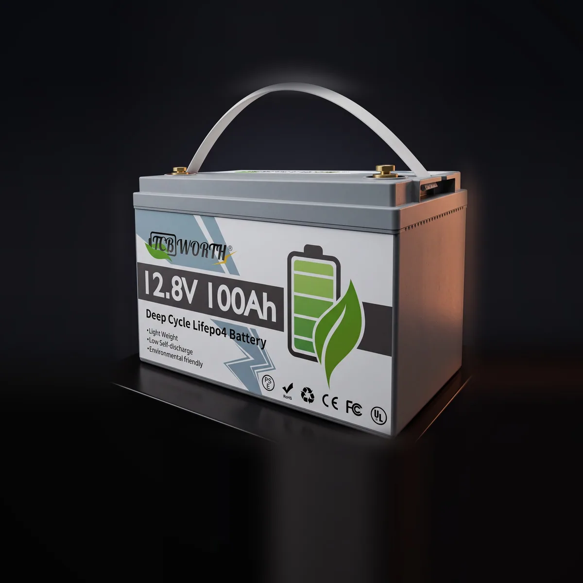Акумулятор TCBWorth LiFePO4 12V/100AH (1280Wh 100A) 100Ah купити в Україні